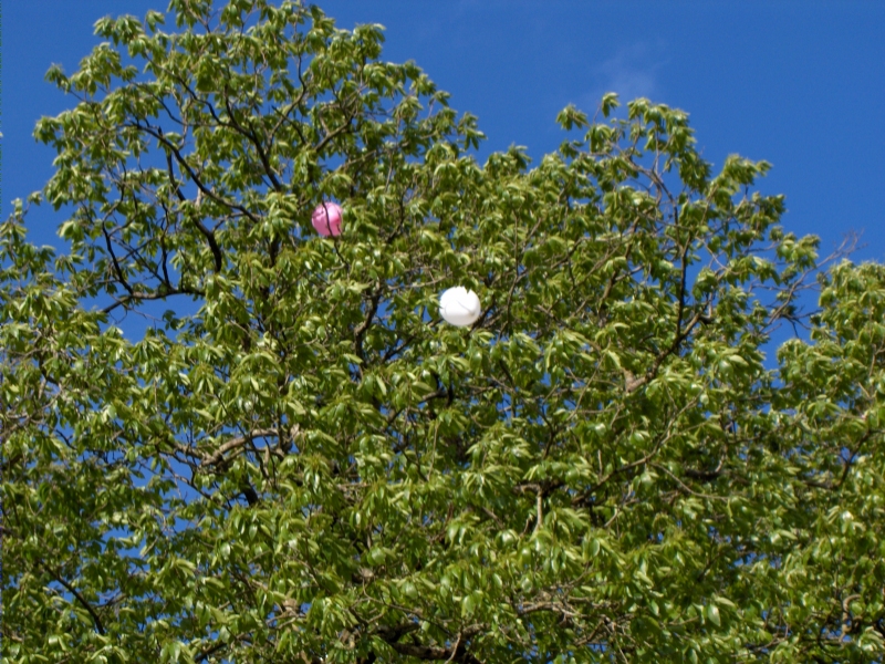Les ballons s'envolent